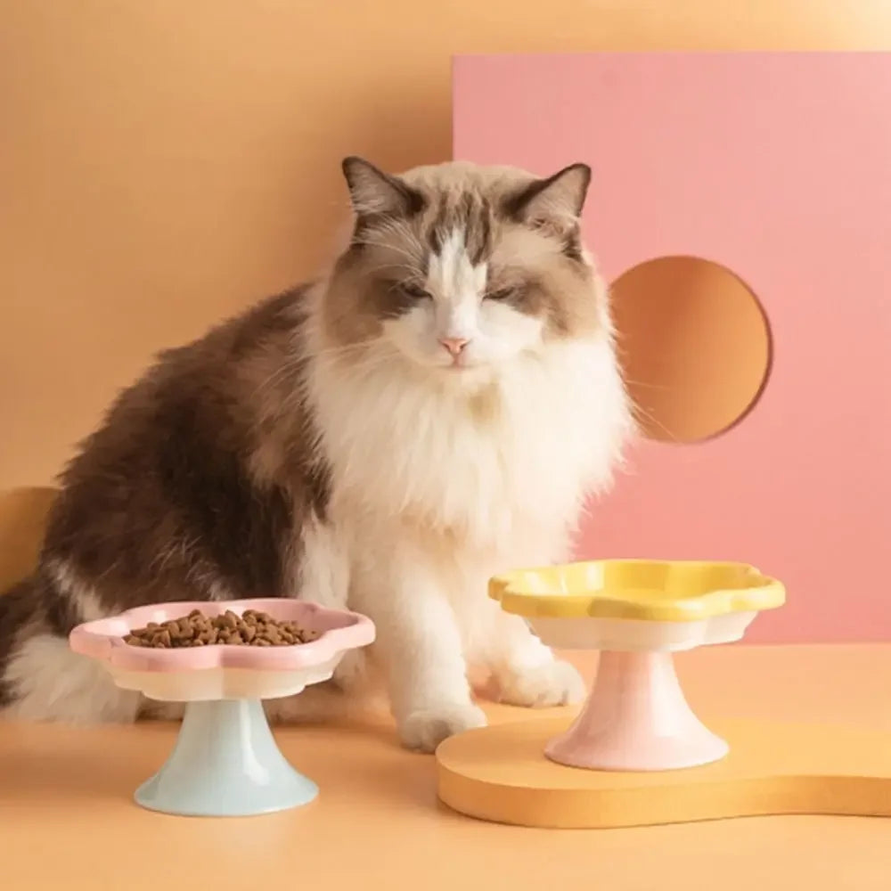 Perfect Paws Cat Bowl