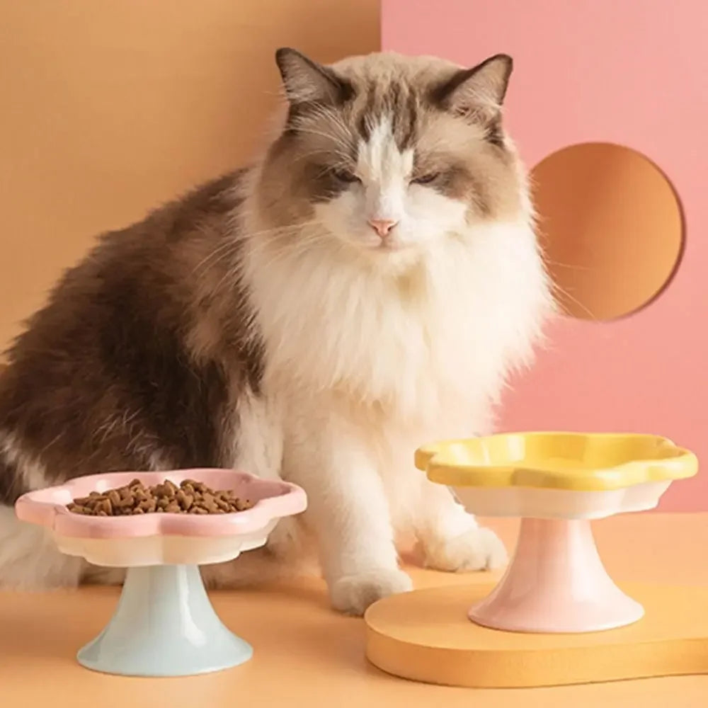 Perfect Paws Cat Bowl