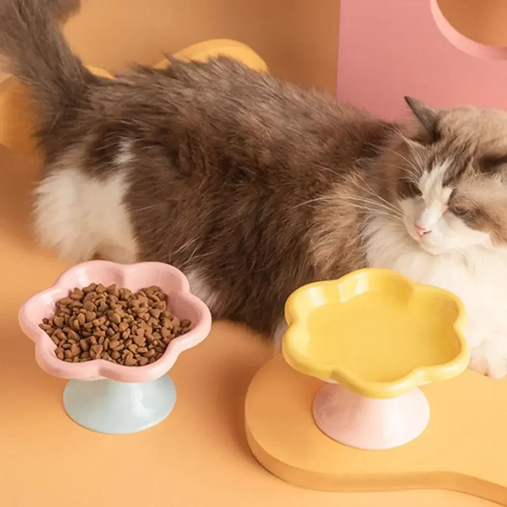 Perfect Paws Cat Bowl