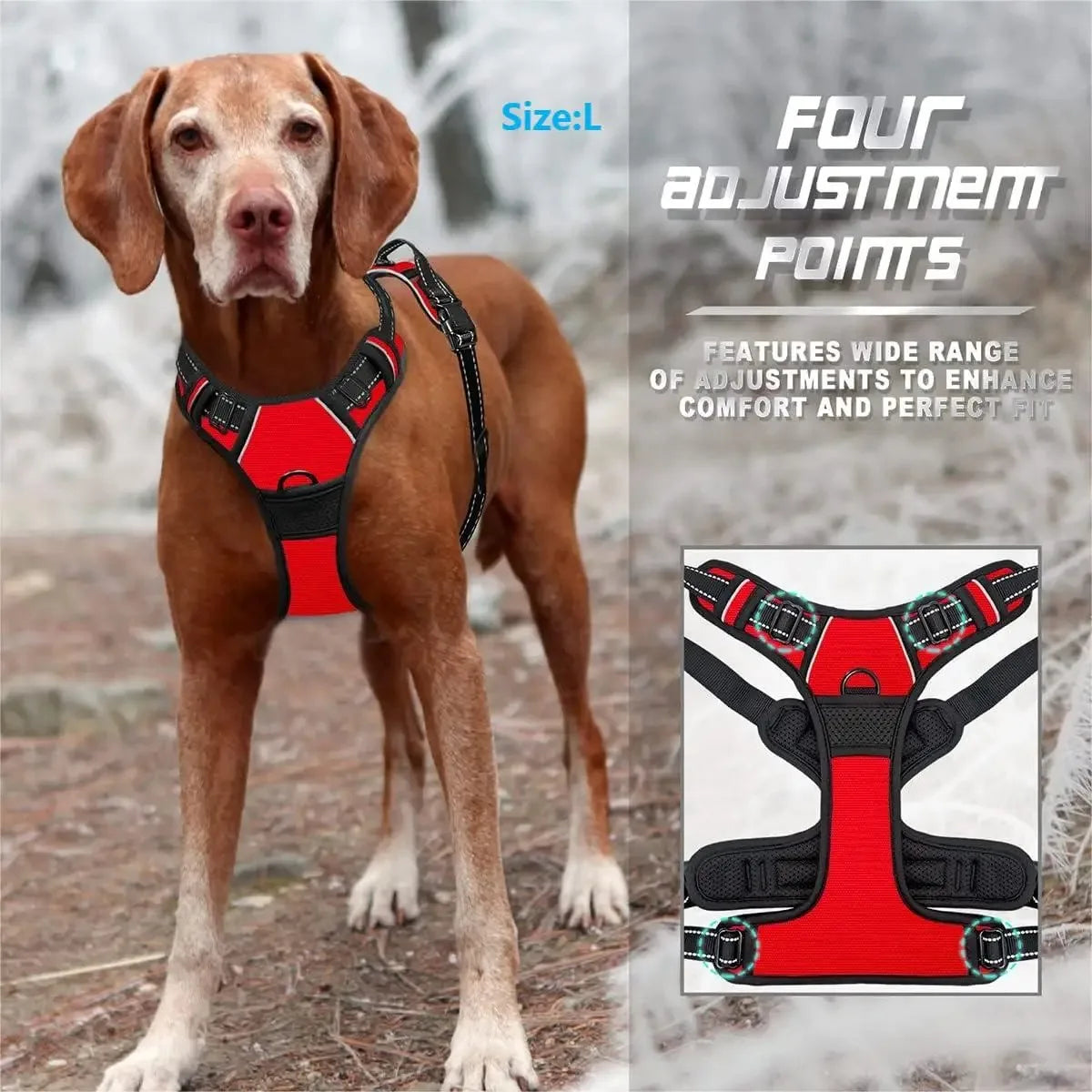 Stylish Leather Dog Harness Set