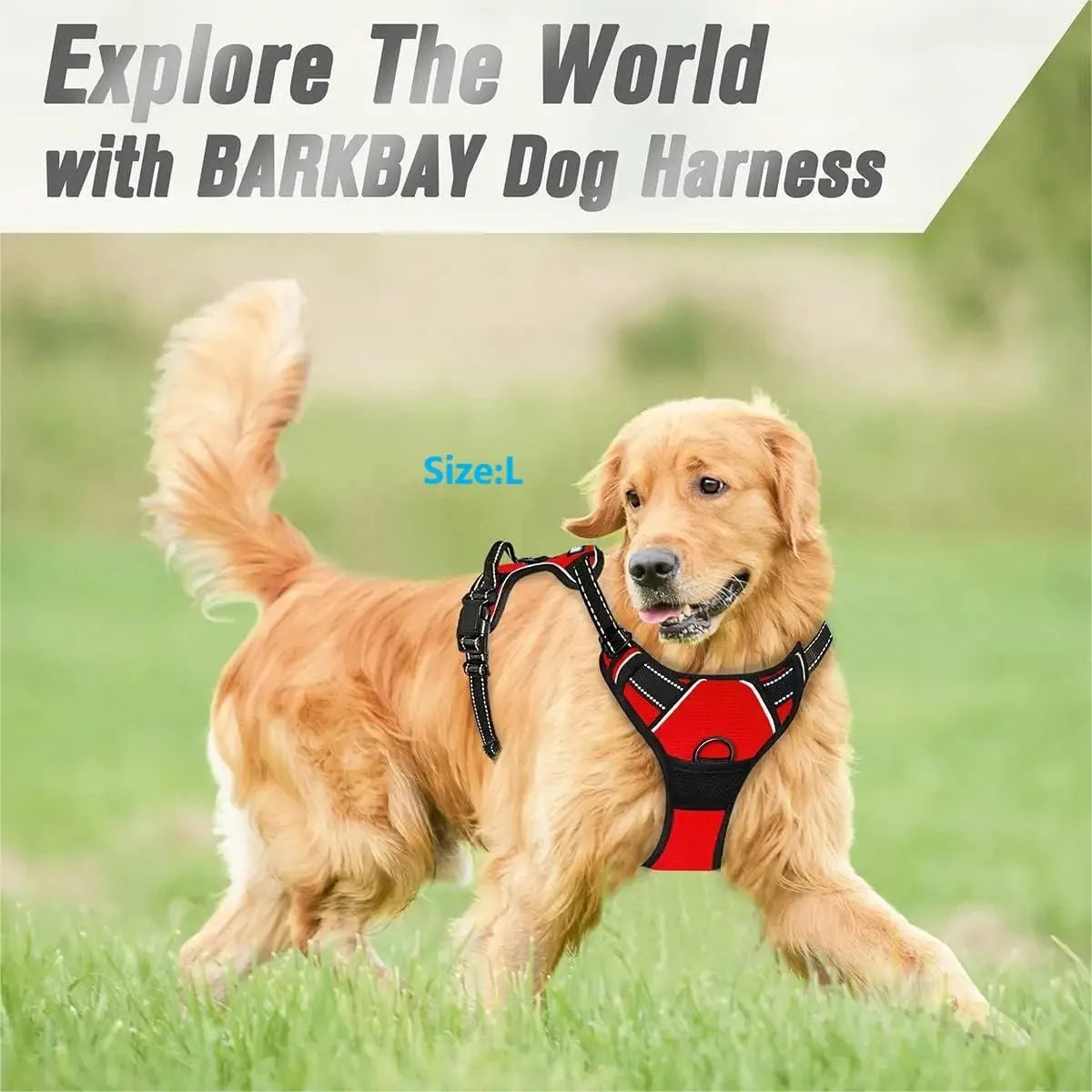 Stylish Leather Dog Harness Set