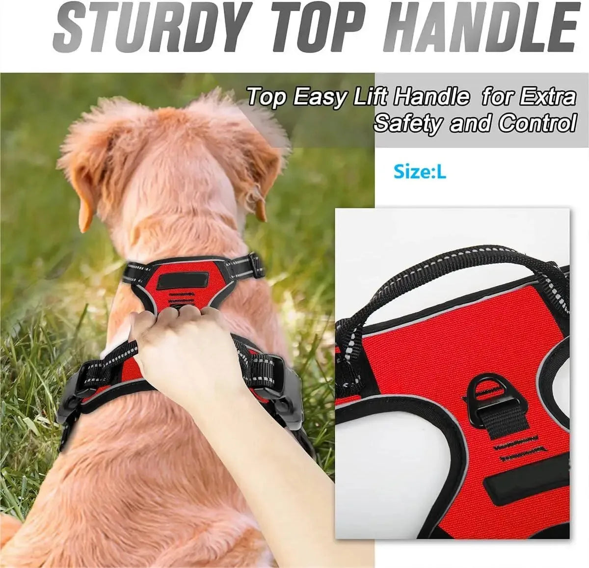 Stylish Leather Dog Harness Set
