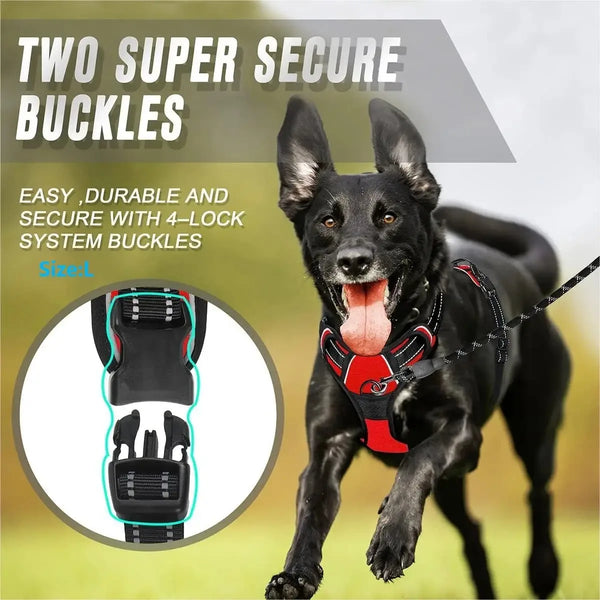 Stylish Leather Dog Harness Set