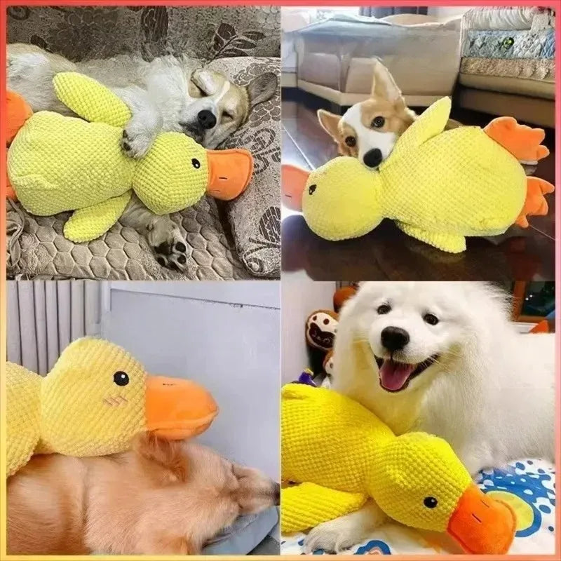 Quack Buddy Dog Toy