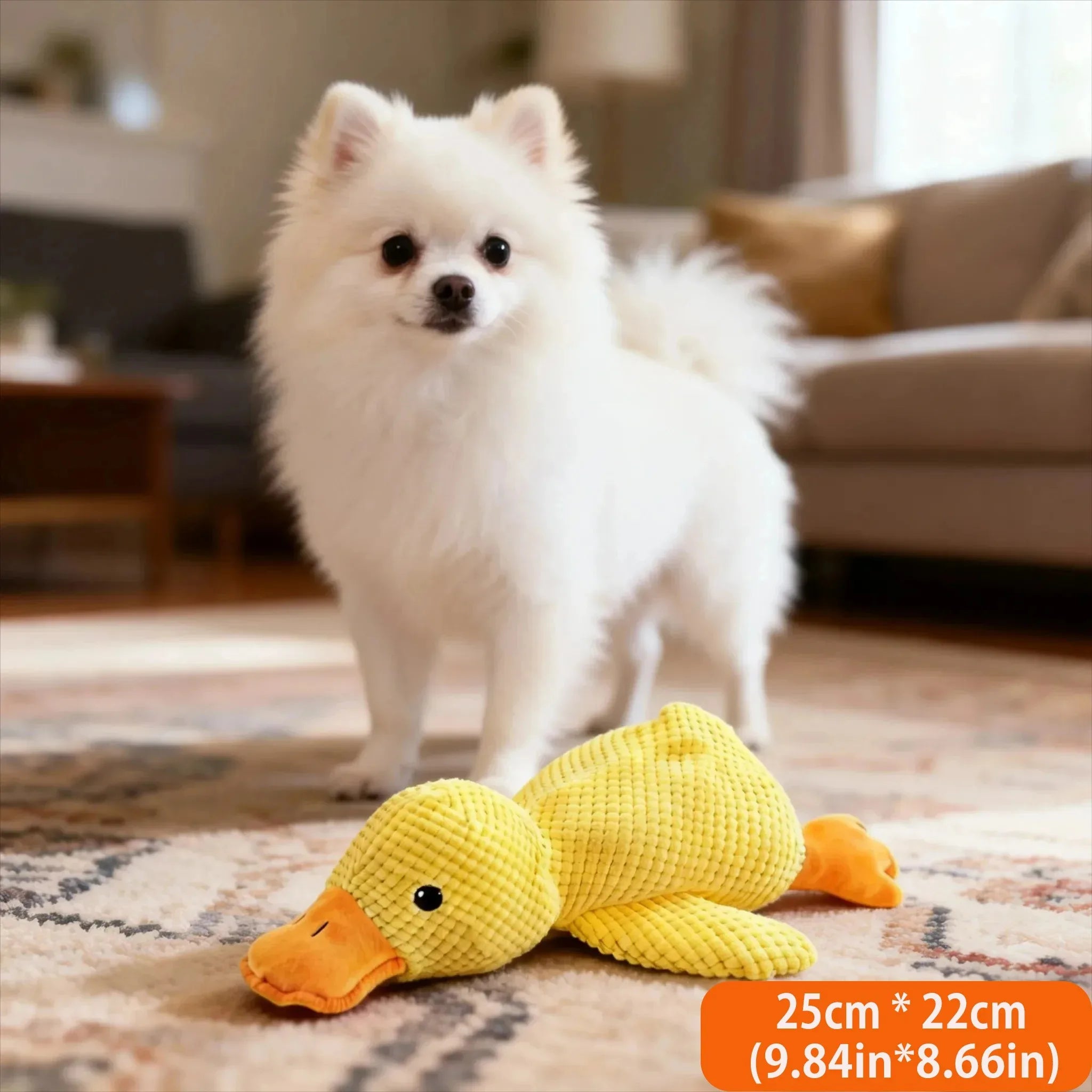 Quack Buddy Dog Toy